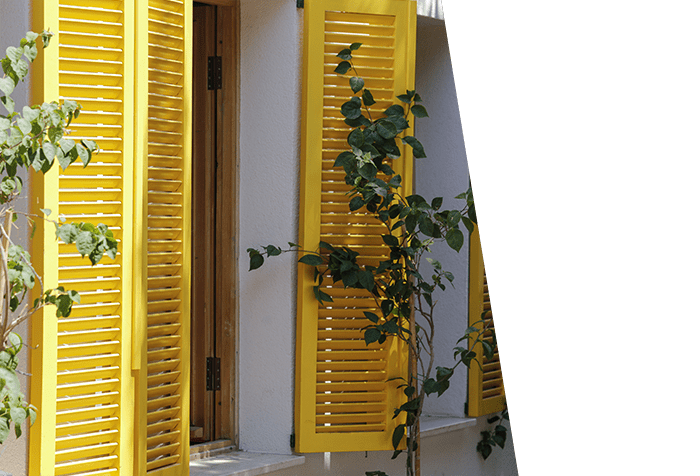 Activence leader régional