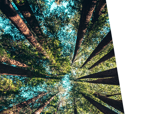 Activence une démarche éco-responsable